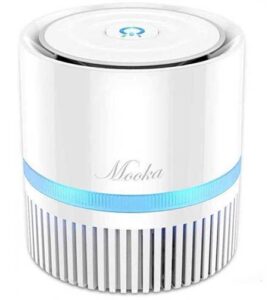 air cleaner for cat hair