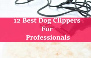 12 Best Dog Clippers For Professionals in 2023 & Buying Guide