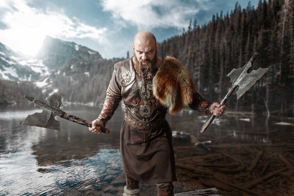 Viking-warriors