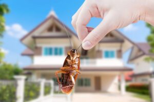 3 Tips For Keeping Bugs Away From The Things You Care About