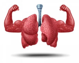 4 Effective Health Tips To Keep Your Lungs Healthy