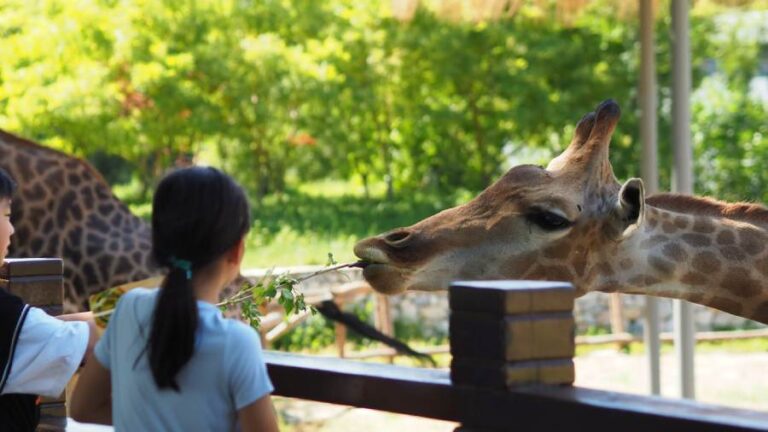 Visit the Smokies for Kid-Friendly Animal Attractions