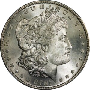 <strong>Here’s Why New Collectors Should Invest In The Morgan Silver Dollar Coin</strong>