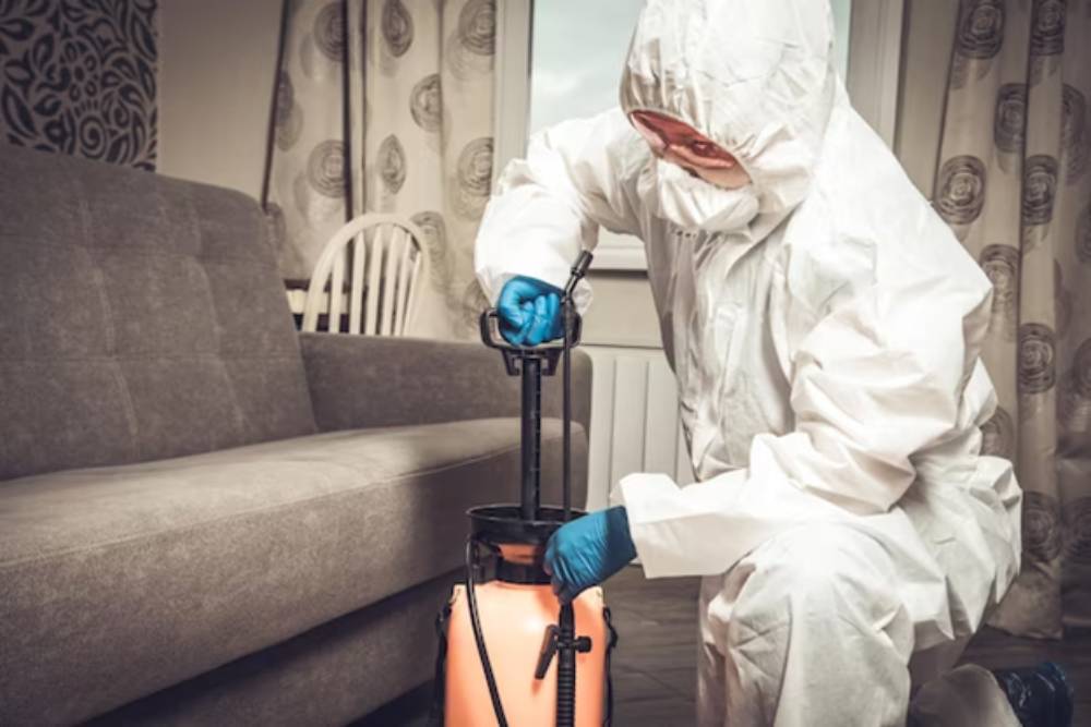Signs You May Need to Hire a Home Pest Control Service