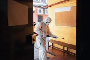 Signs You May Need to Hire a Home Pest Control Service