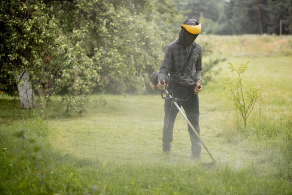 weed killers for lawns