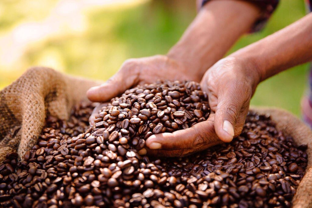 buy organic coffee beans online