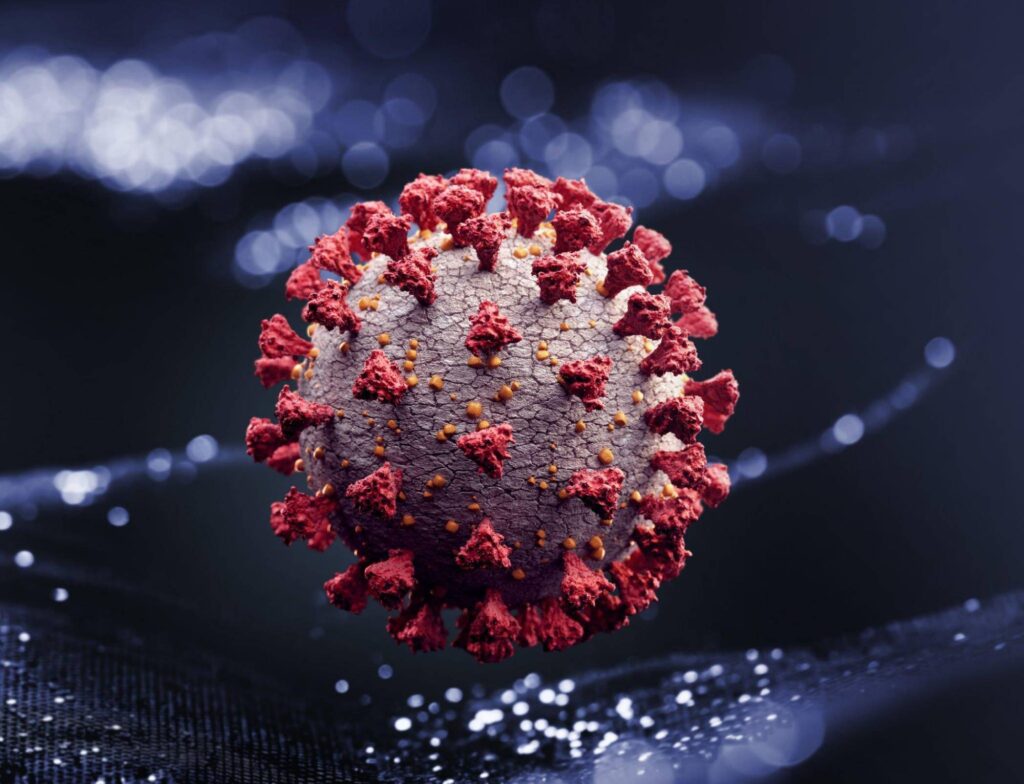 How are viruses different from bacteria apex