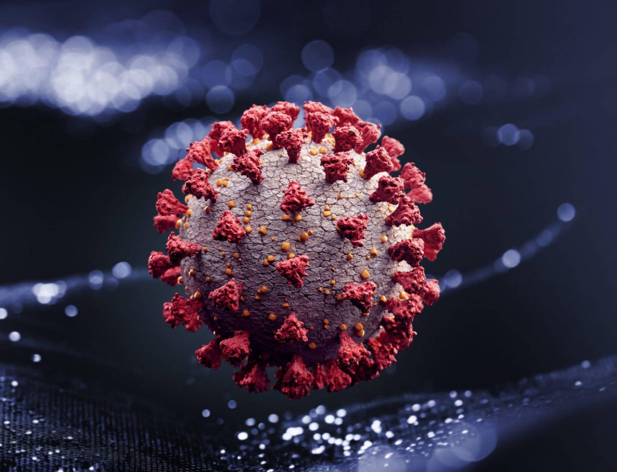 Discover The Apex Difference: Viruses Vs Bacteria   A Complete Guide - 9d1kq11